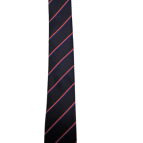 St. Munchin's College Tie